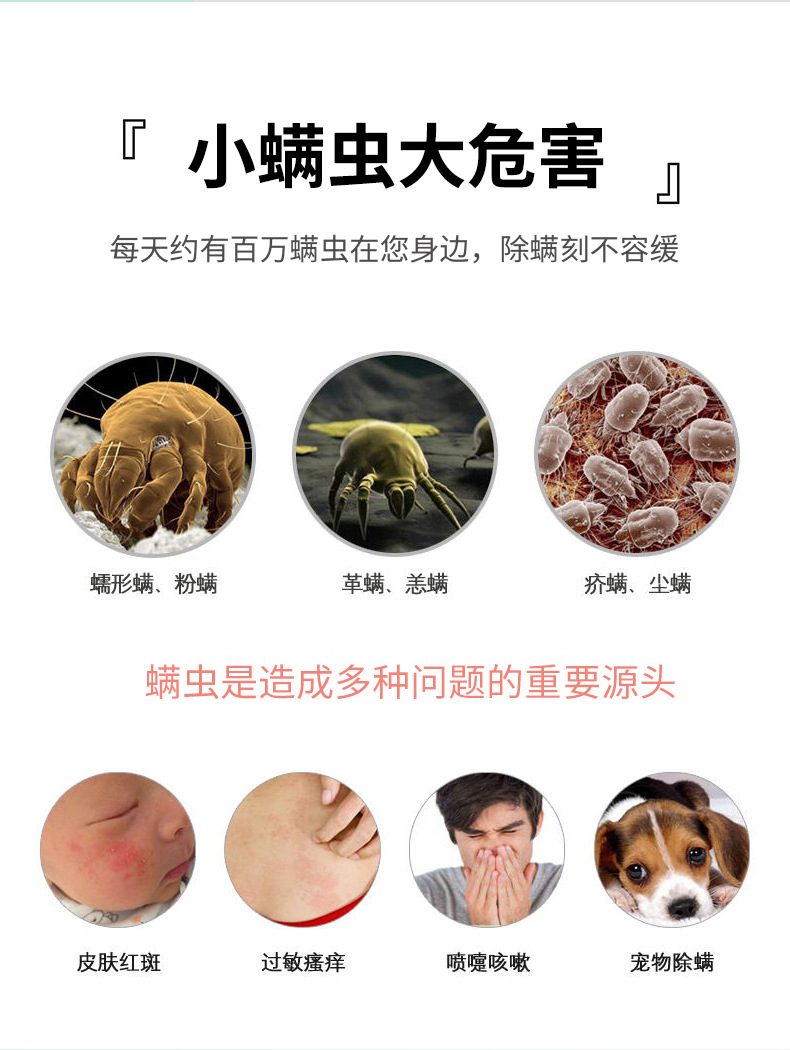 除螨虫喷雾剂除螨包床上用家用免洗去螨虫杀虫剂驱螨除螨神器 100ml/1
