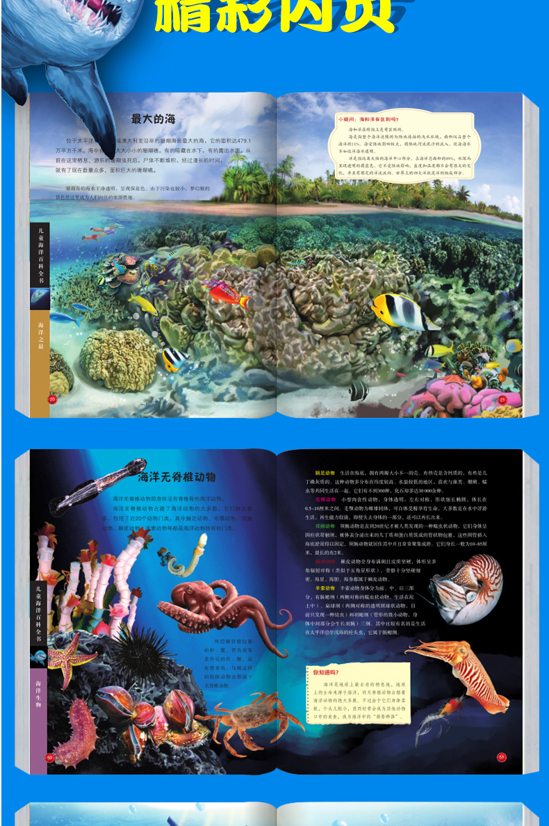 儿童海洋百科全书彩图精装版揭秘海洋动物大百科全书关于鲨鱼的书非dk