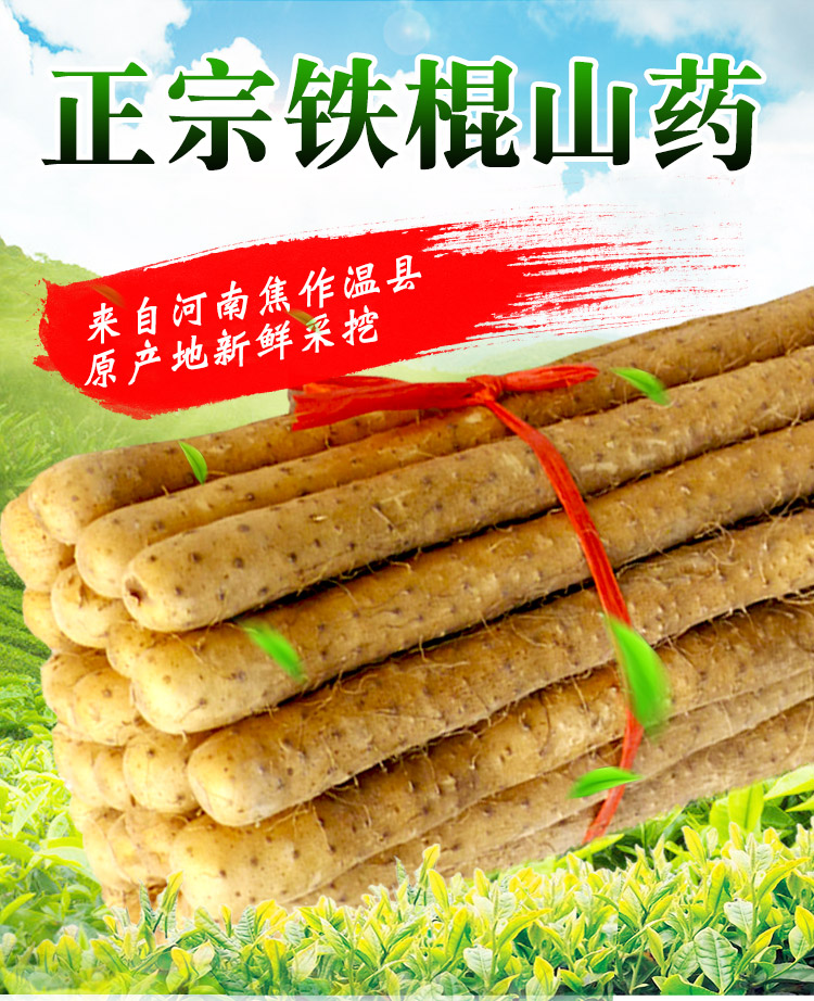 新鲜铁棍山药5斤装河南焦作温县正宗淮山铁杆山荮怀山约