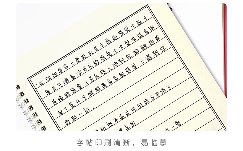 昭颜手写字体练字帖贴本板女生字体漂亮行楷行书临摹神器男成年人网红