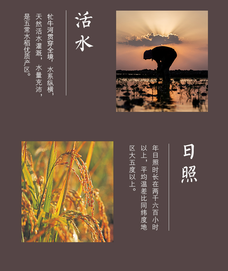 金龙鱼五常基地原香稻10kg