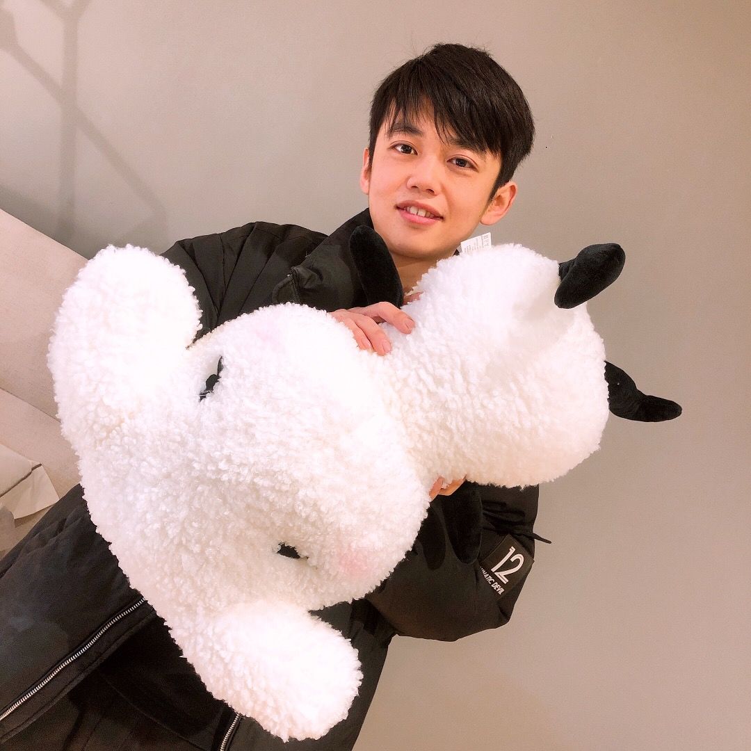 易烊千玺明星同款抱枕一只羊手绘风易只羊偶像毛绒玩偶公仔礼物35厘米