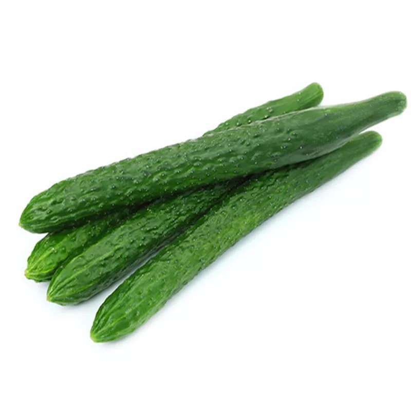 com)茄果瓜类 现摘河北农家蔬菜带刺水果黄瓜新鲜生吃清脆可口绿青瓜5