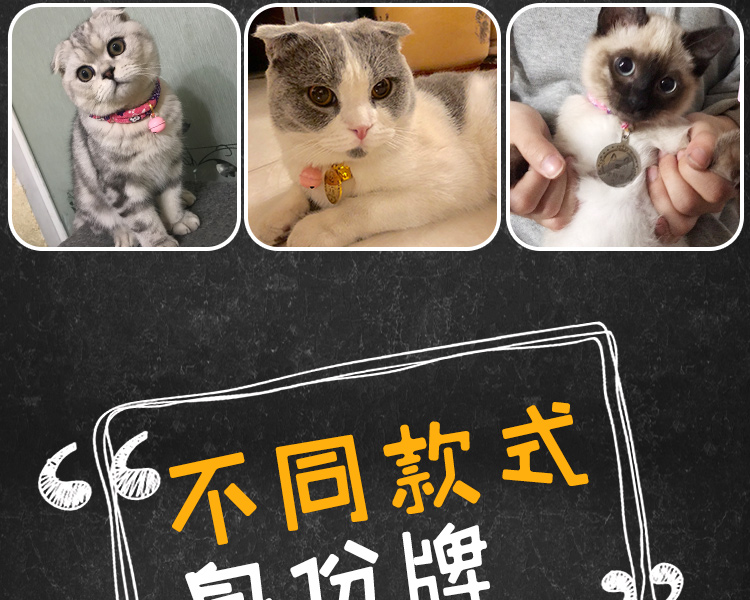刻字猫项圈猫咪用品和风猫圈除跳蚤防虱