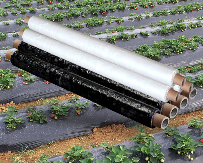 定做 加厚黑色白色农用塑料薄膜透明驱虫除草地膜蔬菜保鲜保温树苗
