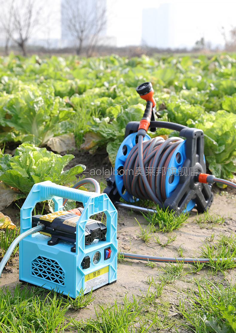 充电水泵浇菜神器浇水机家用田园自吸便携农用户外浇地抽水泵12v闪电