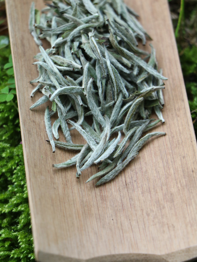 2020年春茶明前一级白毫银针福鼎白茶磻溪陈孝金500g