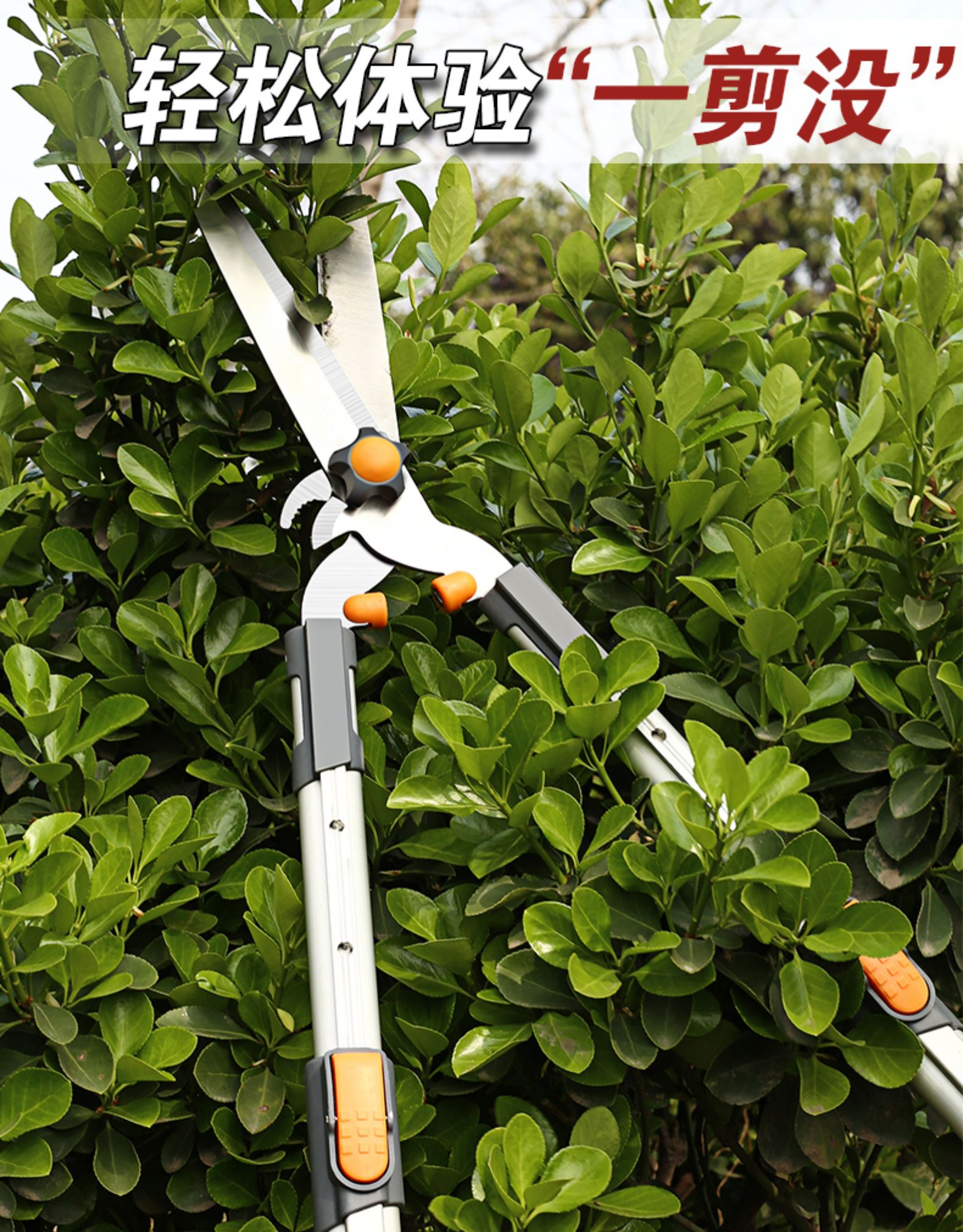 敬平(jing ping)园艺用品 园艺大剪刀园林花剪修花修枝剪花木剪草修