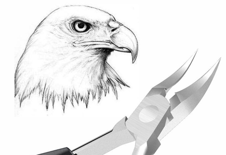 甲沟专用指甲刀套装炎工具灰鹰嘴钳修甲修脚器脚趾甲剪尖嘴剪刀 三维