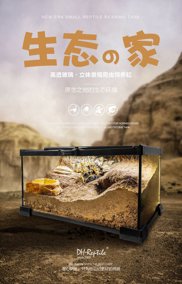 锁扣x2玻璃饲养箱套装爬虫缸雨林爬宠守宫蜥蜴角蛙蜘蛛甲虫变色龙生态