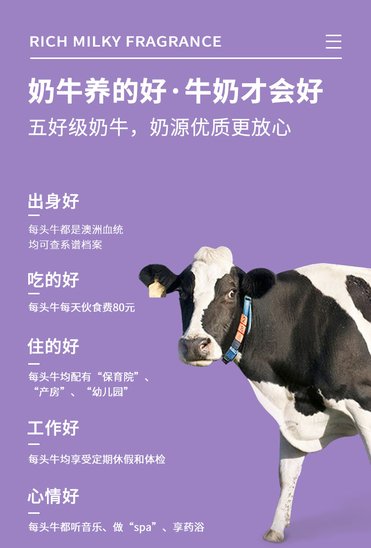 认养一头牛常温原味酸奶200g12盒2箱经典原味法式酸奶