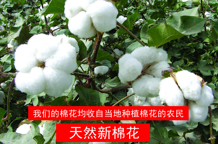 【个人店其他品牌被子】 大炕被褥子定做加大被芯手