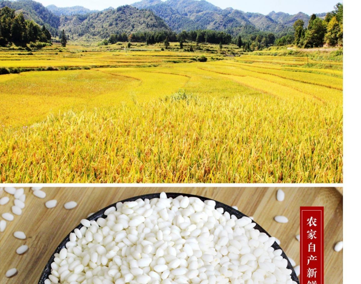 湛航黑龙江产江米圆糯米真空东北米10斤1斤装