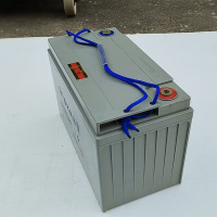 ZHIMING公路环卫用电动车蓄电池6-EVF-100(只)