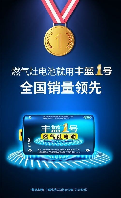 丰蓝1号电池2粒装南孚电池丰蓝1号燃气灶热水器一号碳性干电池d型lr20