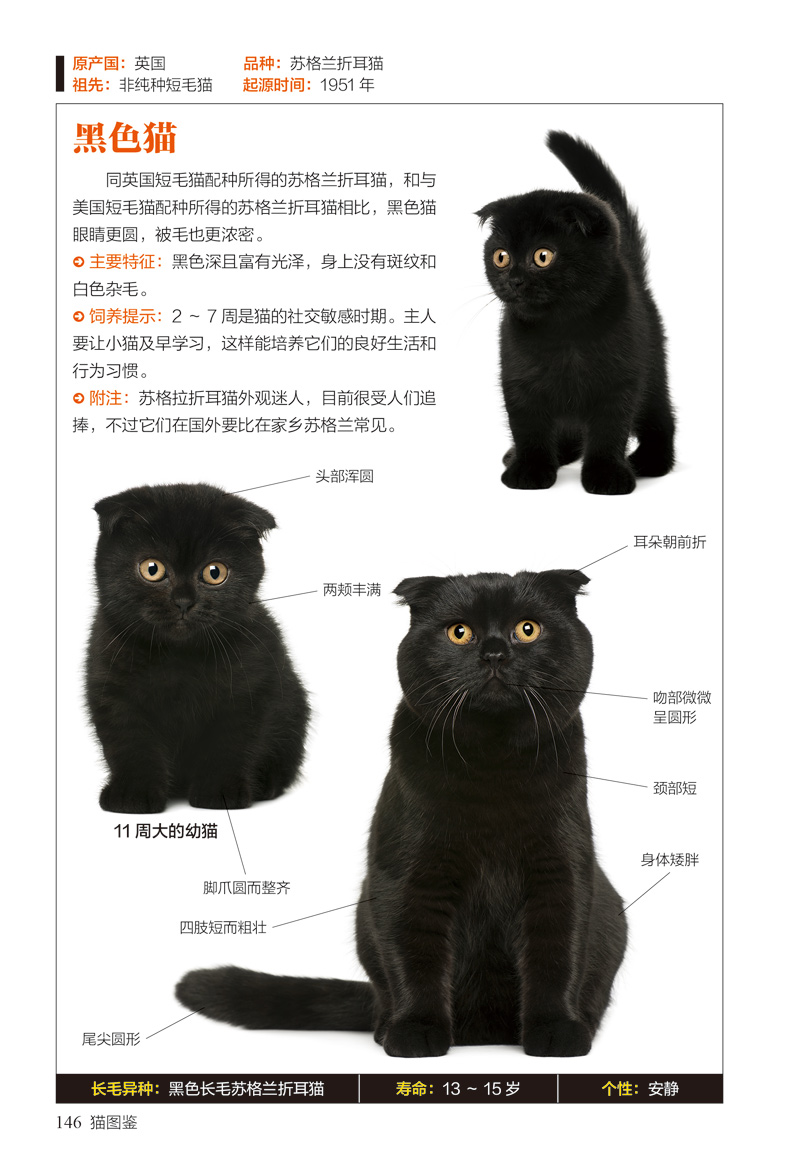 诺森正版图鉴珍藏丛书猫图鉴179种纯种猫的特征习性猫