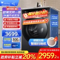 小天鹅(LittleSwan)小乌梅 滚筒洗衣机10KG水魔方防缠绕智能投放大筒径 [洗烘一体]TD100SC81