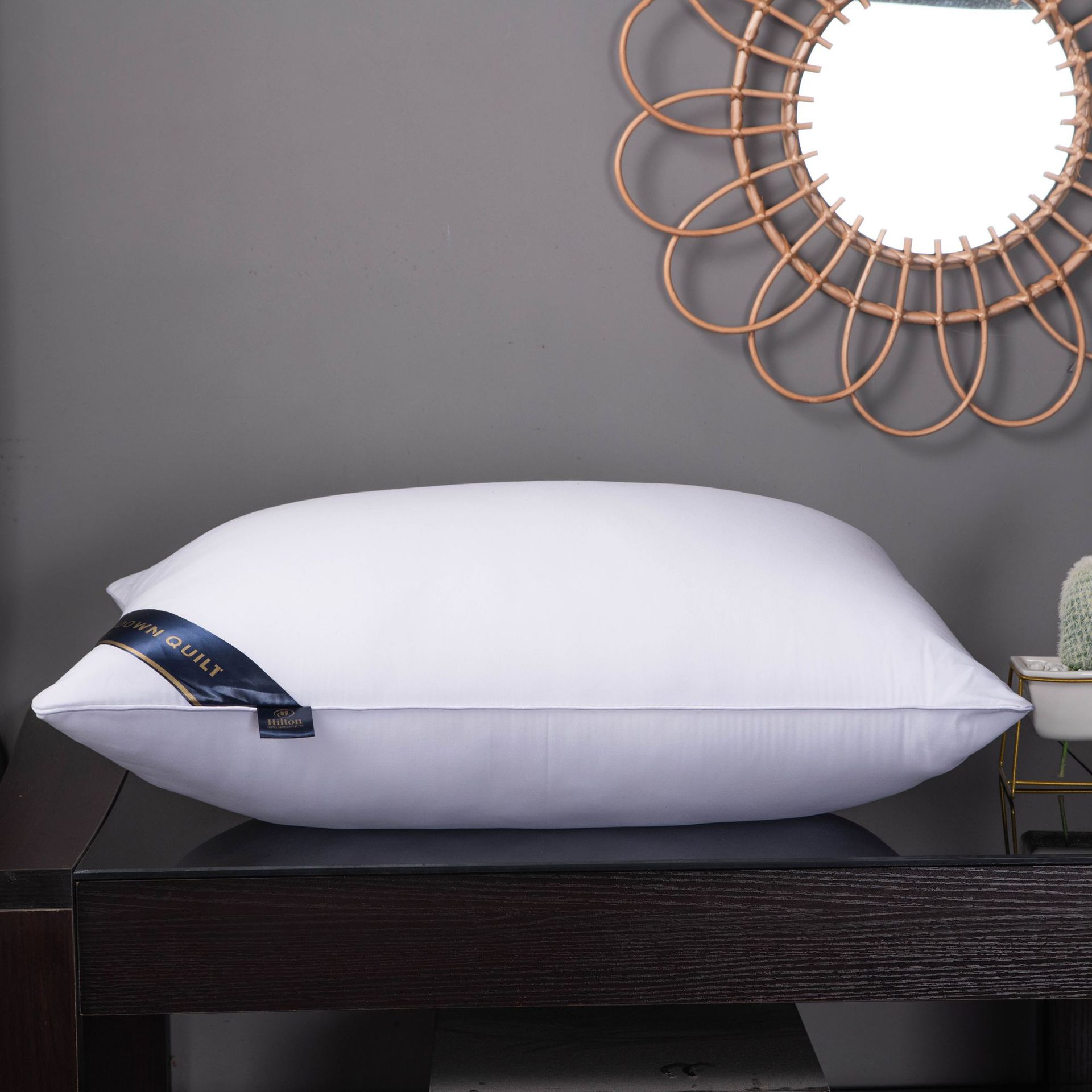 希尔顿hilton酒店同款枕头枕芯单人宿舍会枕头双人大人家用一对装