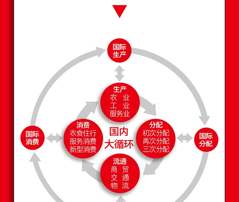 論中國經濟讀懂十四五雙循環新發展格局解讀中國經濟國內大循環現代化