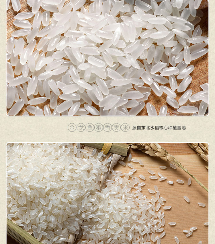 金龙鱼稻香贡米5kg