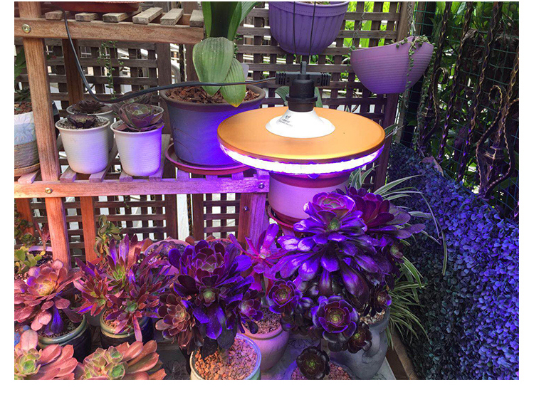 唐晶led照明/光源1 苏宁放心购 多肉植物紫外线生长灯室内日照防徒