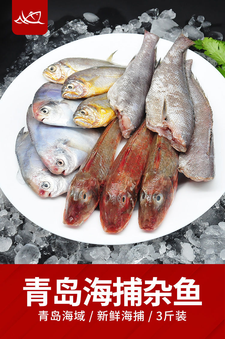 新鲜海杂鱼小鲳鱼小黄鱼小梭鱼龙利鱼石斑鱼红头鱼海鲜国产海鱼放心吃