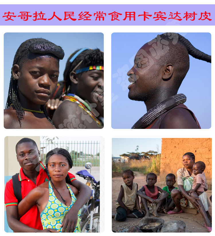 安哥拉进口买1件送玛卡安哥拉卡宾达树皮正宗非洲卡宾达老树皮滋补品