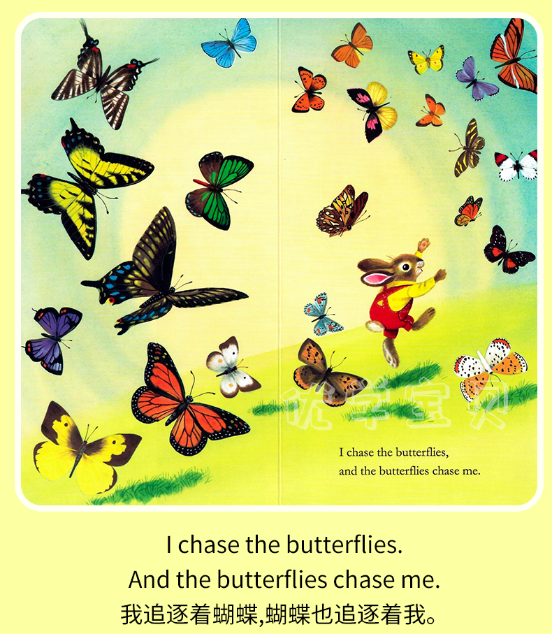 《【诺森正版】送音频可搭原版brown bear英语绘本i am a bunny我是