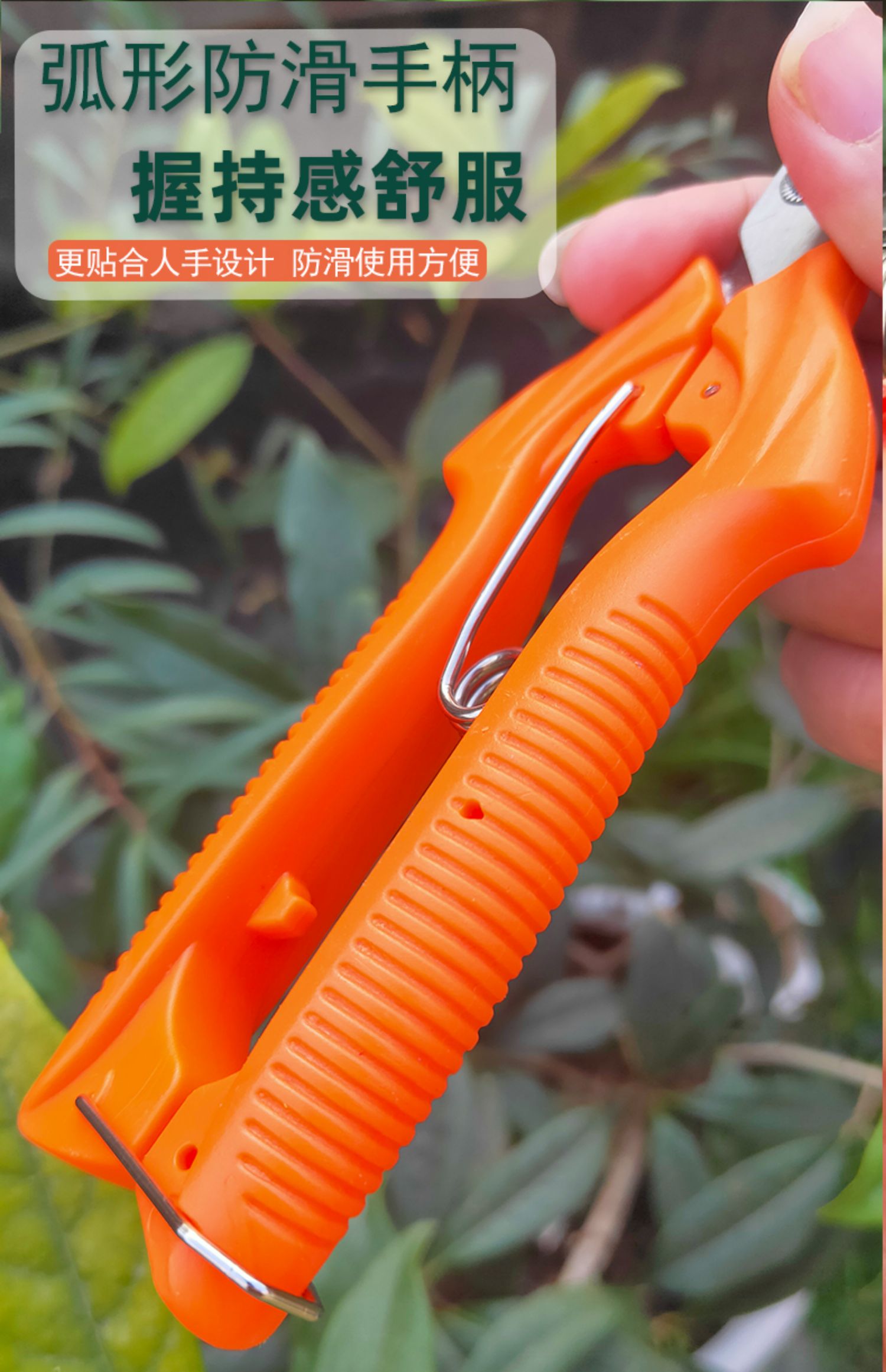 jing ping采果剪稀果剪葡萄疏花剪修花修枝剪柑橘子花椒采摘摘果剪刀