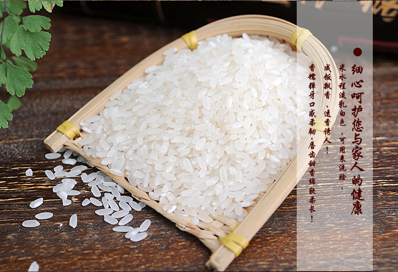 中香牌齐古宴香丝米5kg正宗广西大米10斤装南方籼米 5kg