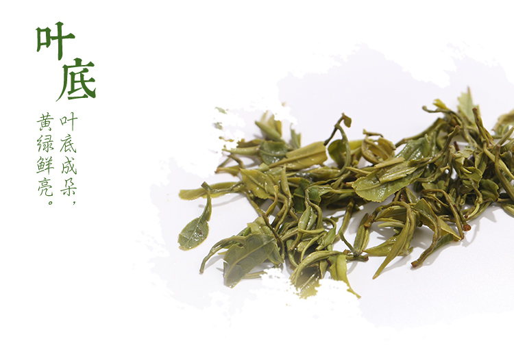 新茶上市羊岩勾青春茶胜龙井茶叶礼盒绿茶
