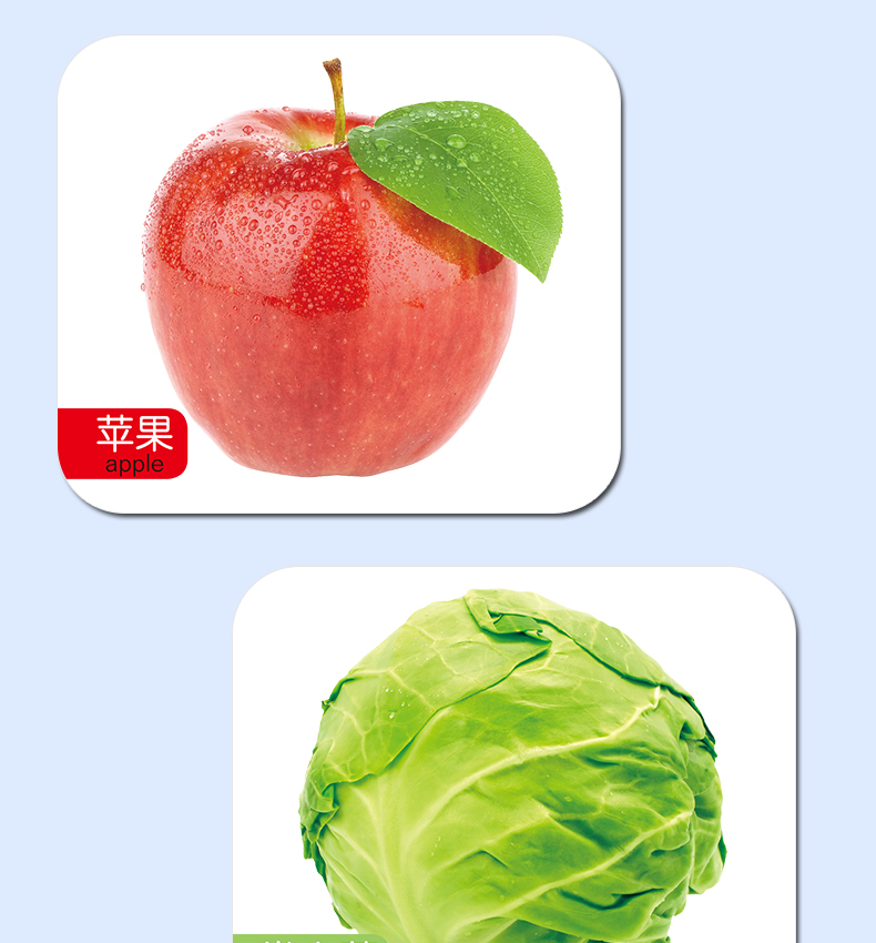 幼儿童看图识物早教书籍婴儿识字认知卡片0123岁一两岁宝宝天天学说话