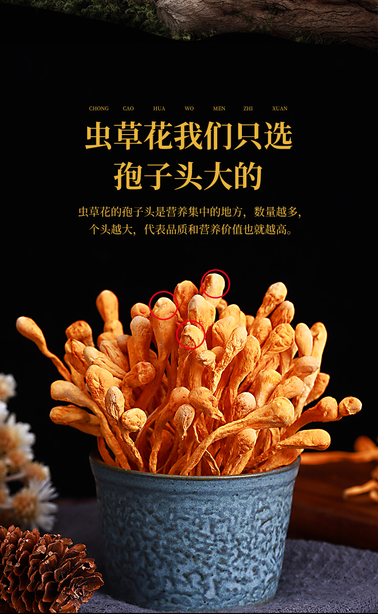 苏宁超市自营 半山农 虫草花 孢子头 蛹虫草 金虫草 300克/袋 菌菇