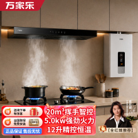 万家乐烟灶热三件套 20立方挥手智控自清洗吸油烟机灶具5.0KW燃气热水器12升AT051+C2R1+12DP1液化气
