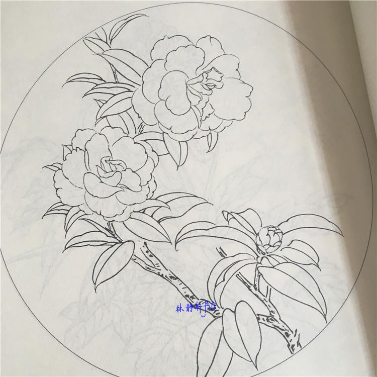 百花畫譜工筆畫底稿百花白描書線描圖譜花卉工筆底稿牡丹紫藤書百花