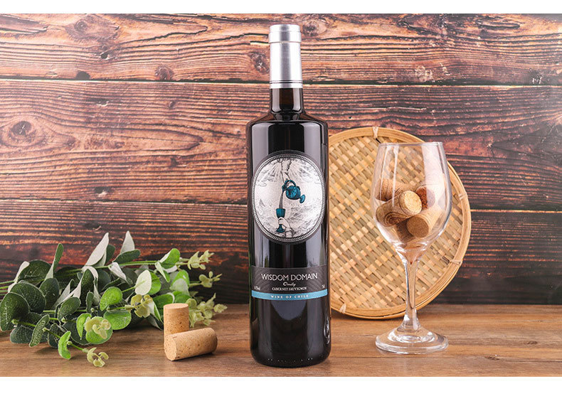 智利进口干红葡萄酒中央山谷赤霞珠醇酿2支granreserva特级珍藏奥米