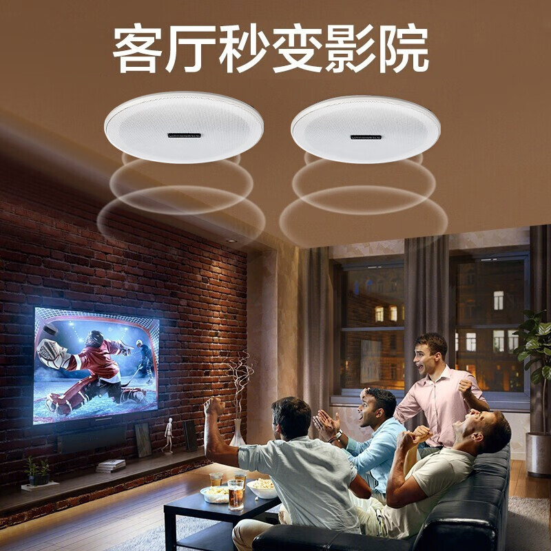 纽曼(Newmine)无线蓝牙吸顶音响K-908A 单主机