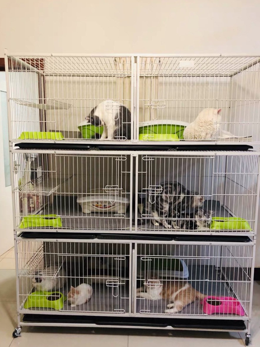 猫狗子母笼通用大型猫笼双层三层繁殖猫笼可叠加