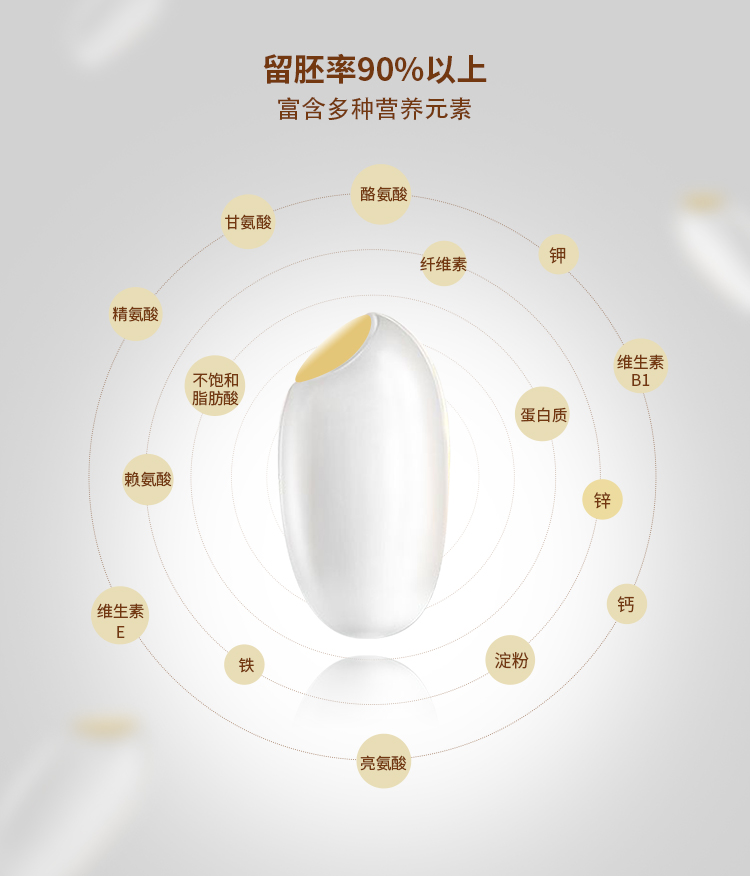 多美粒高营养美味胚芽米现磨新米宝宝粥米家庭装5kg