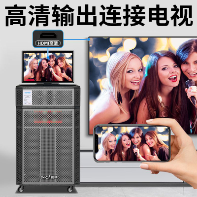 夏新(AMOI)视频音响OK-35 豪华版 500G
