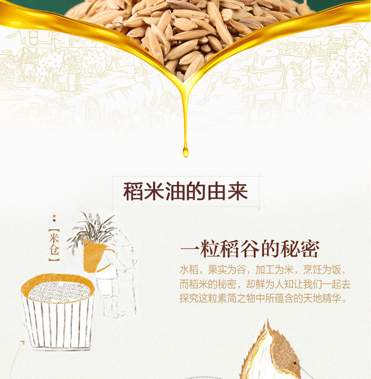 金龙鱼双一万稻米油900mL