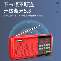 先科(SAST)多功能插卡蓝牙收音机 V20 红色高保真大喇叭超长续航迷你小巧便携可调频环绕音效