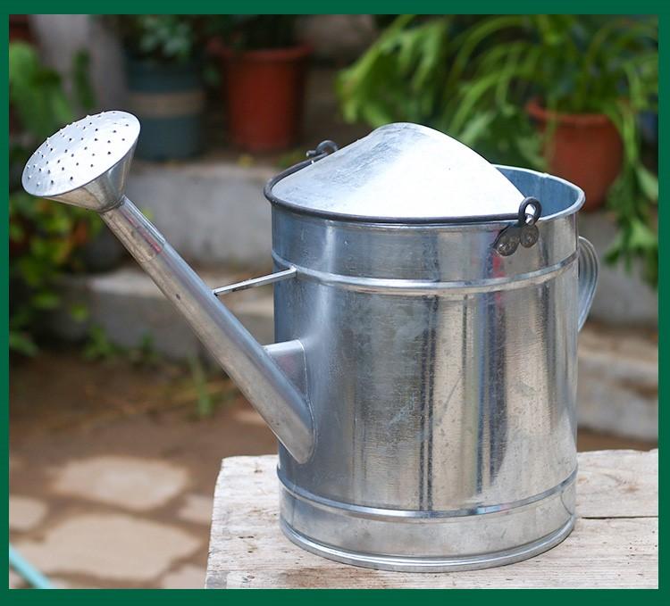 喷水壶洒水桶农用种菜淋菜菜农浇菜水桶大容量菜地洒水喷头洒水壶