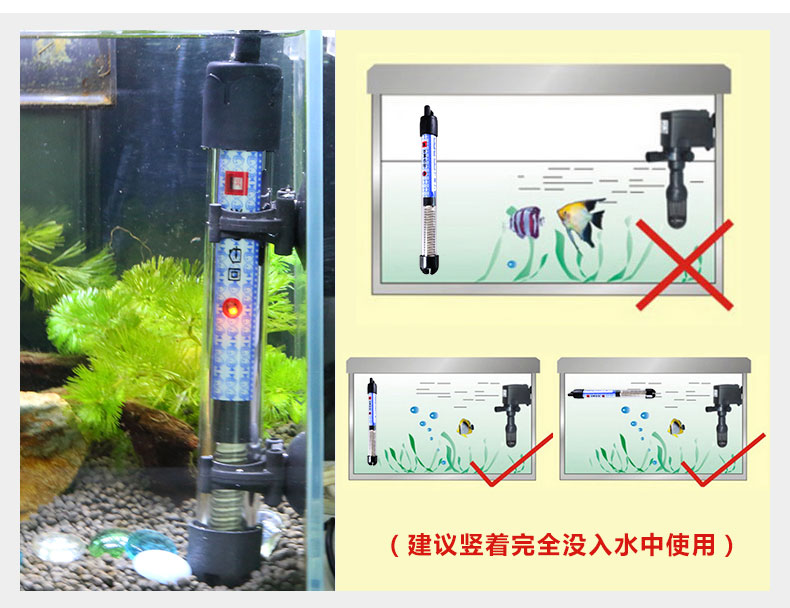 鱼缸加热棒摆放位置图片