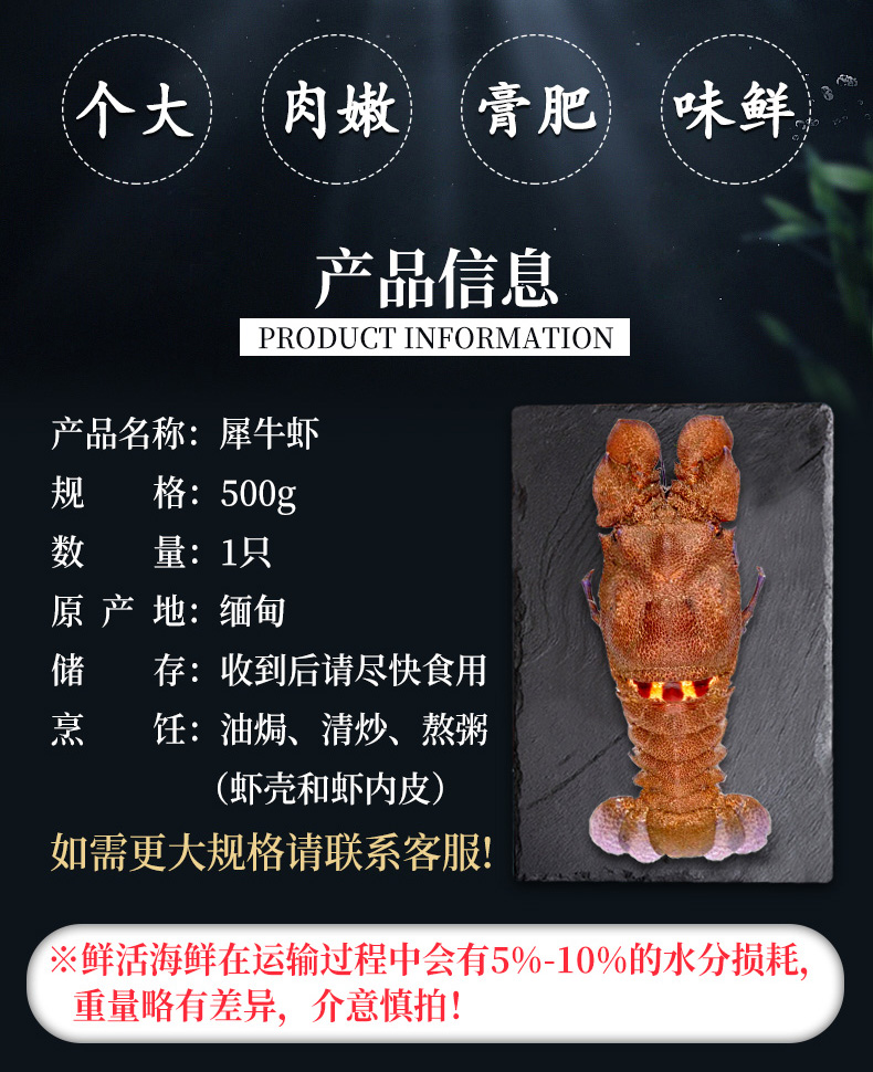 鲜活渔鼎鲜鲜活缅甸犀牛虾500g只琵琶虾九齿扇虾新鲜海捕大虾肉质细嫩