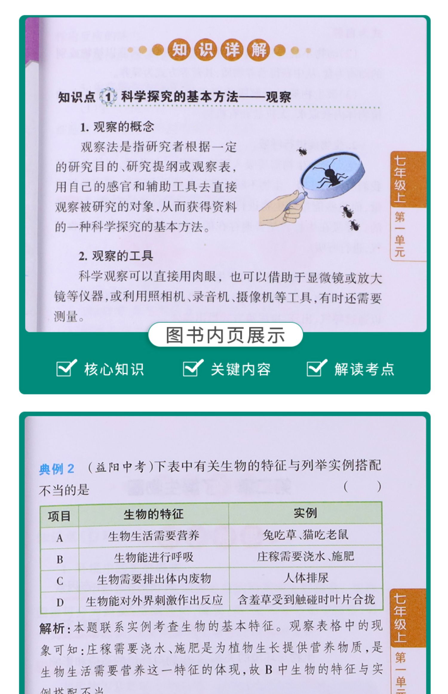 【诺森正版】2021版 pass绿卡图书图解速记初中生物知识大全 七年级