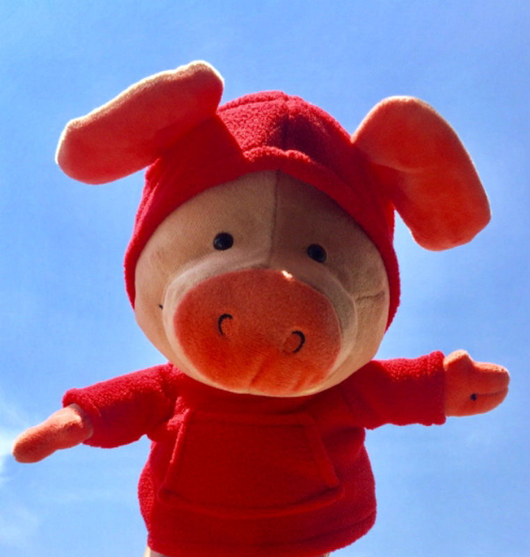 舒弗(lachouffe)毛绒玩具女生可爱丑萌小猪威比社会人猪玩偶娃娃公仔