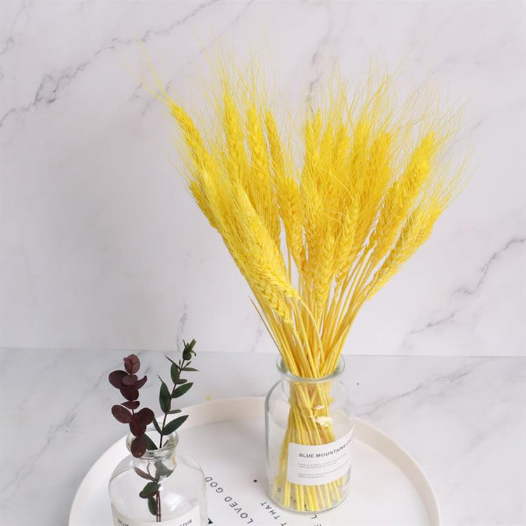 莱杉花瓶/花艺 干花花束彩色麦穗麦子干花客厅卧室摆设书房装饰拍摄