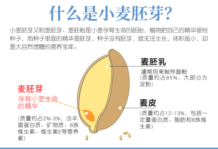 精力沛奇亚籽胚芽燕麦片即食冲饮谷物早餐黑麦铁罐装728g