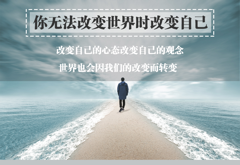 《鹏辰正版人生哲学 你无法改变世界时改变自己提升自我修养的心灵